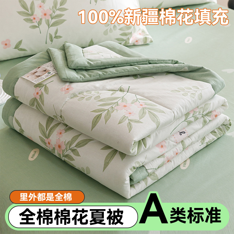 Picture of Class A cotton printed cotton summer quilt cotton washable air conditioner quilt Xinjiang cotton quilt core single double gift quilt