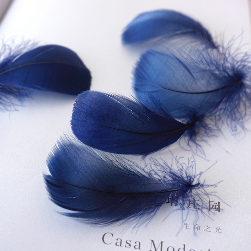 Picture of Color feather DIY floating dyeing goose feather dream catcher wave ball gift box filling decorative materials wholesale