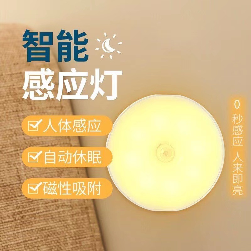 Led Intelligent Human Body Sensor Light, Night Light, Sensor Wardrobe Light, Entrance Stair Light, USB Rechargeable Night Light