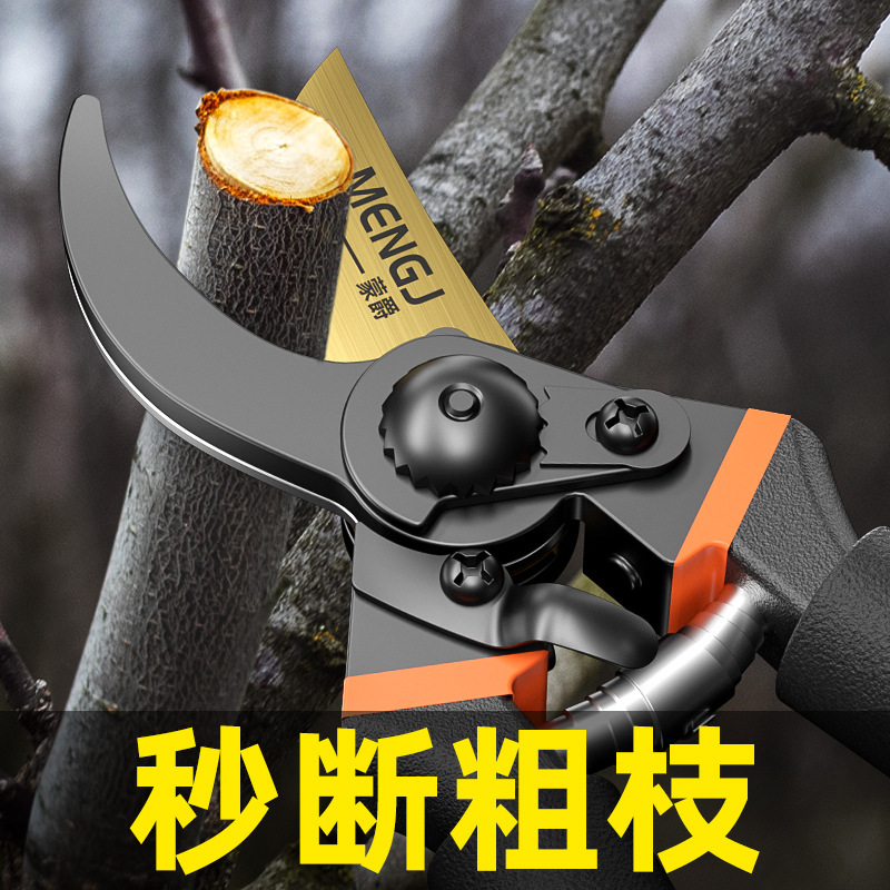 Cross-border Germany imported garden shears fruit tree branch shears household strong coarse branch shears labor-saving pulley pruning shears branches