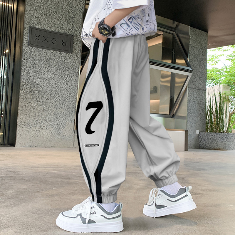 Picture of Boys' Lightweight Pants Spring and Autumn 2025 Children's Long Pants for Older Students Trendy Korean Style Sports Pants