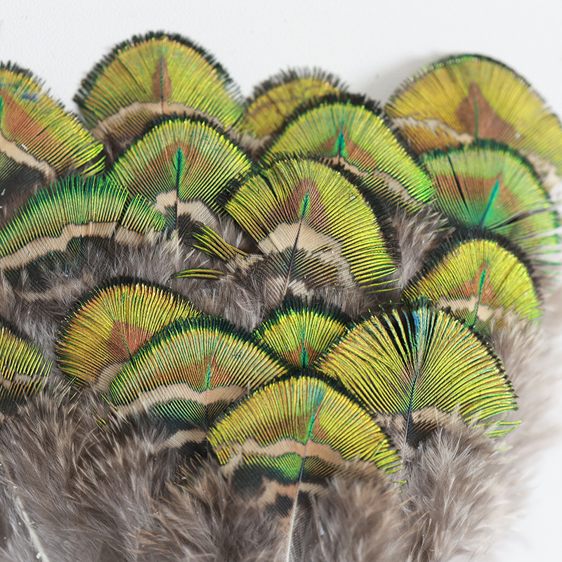 Wholesale peacock gold piece diy material natural small feather decoration jewelry handmade accessories clothing accessories