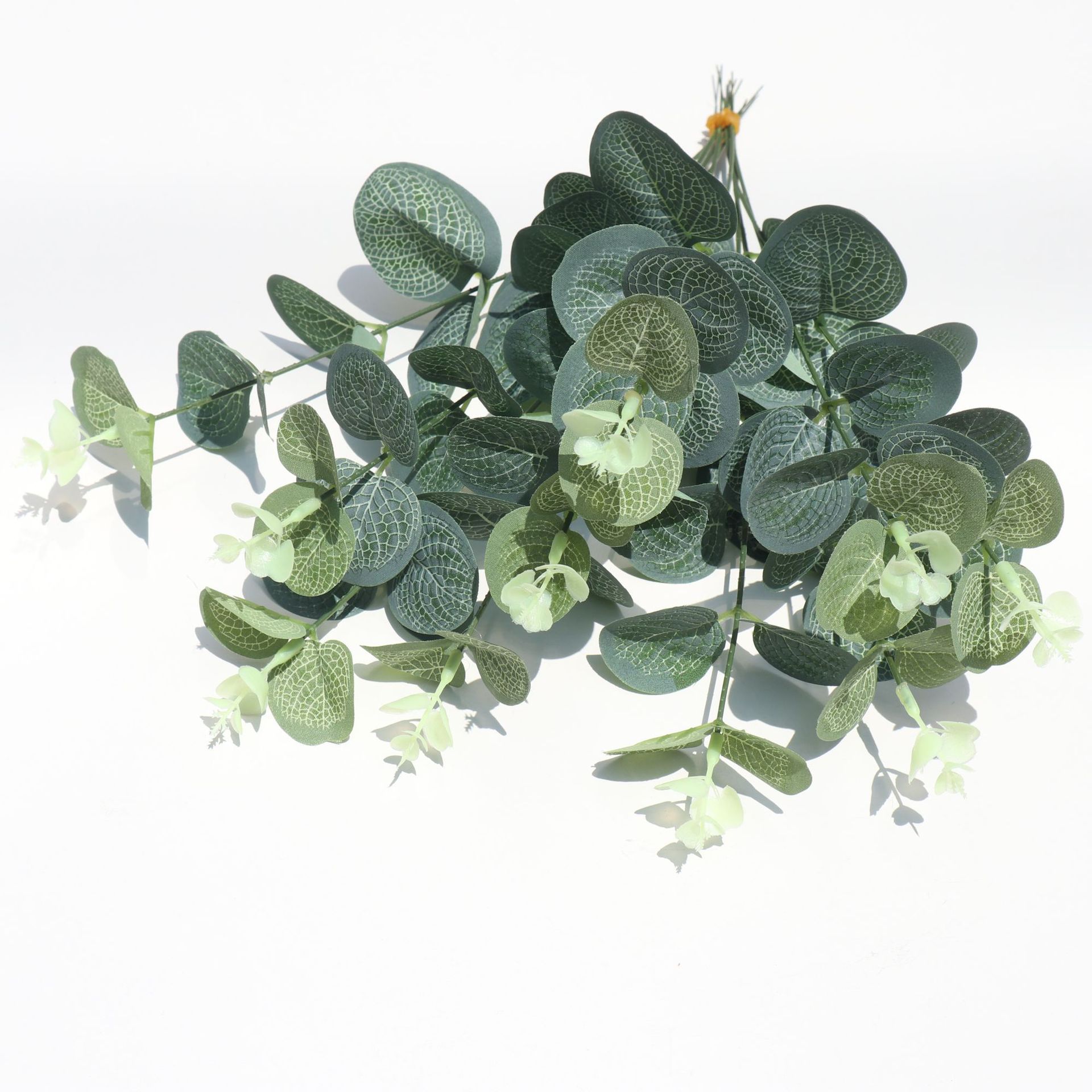 Picture of Amazon Simulation Single Money Leaf Eucalyptus Green Plant Wall Wedding Photography Photo Props High Artificial