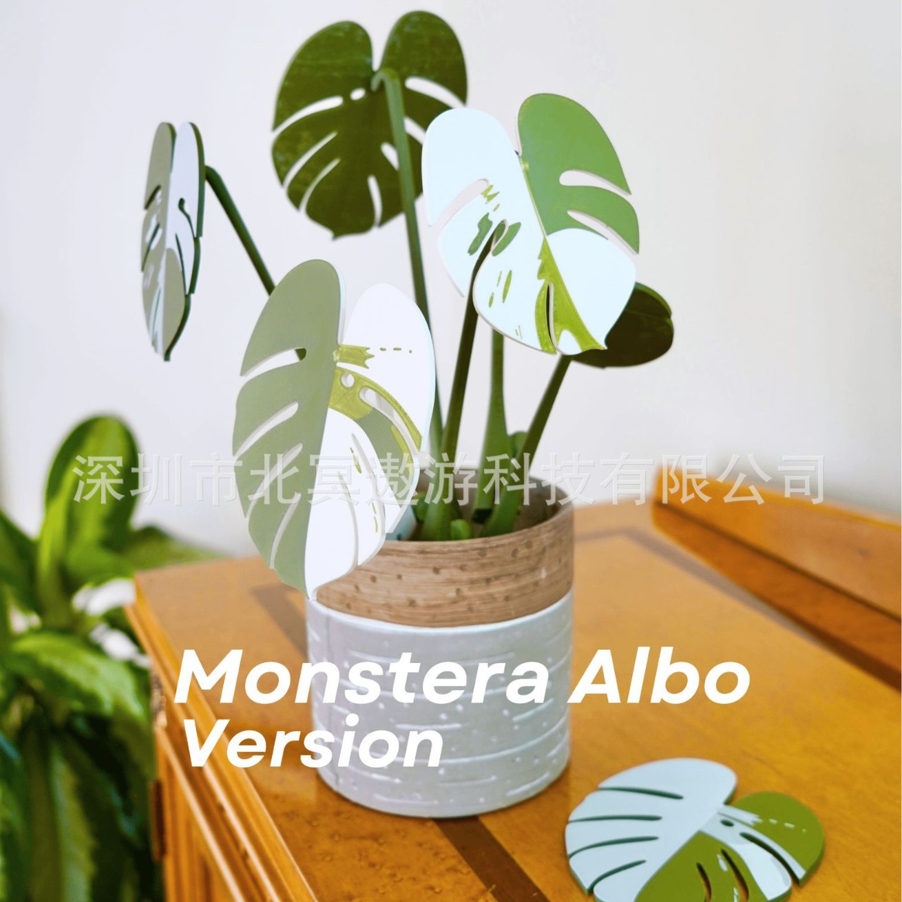 Monstera coaster plants Bamboo Turtle Cup Mat Plant Cup Mat Home Gift Unique Ornaments