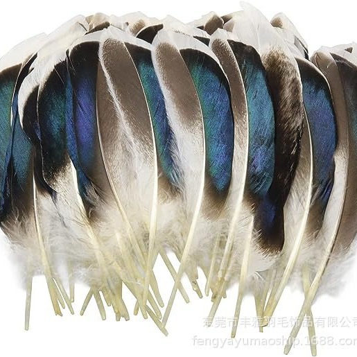 Natural Feather Wild Duck Emerald Hair DIY Art Performance Clothing Material Decorative Head Flower Jewelry Photography Environmental Protection