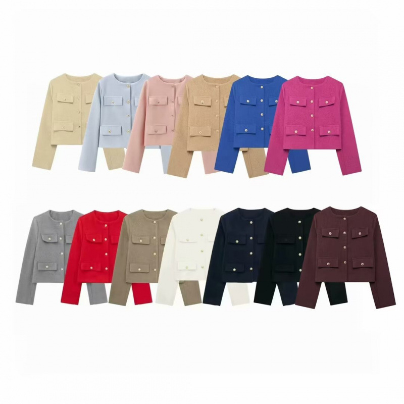 Cross-border foreign trade wholesale autumn new European and American style flip trim round neck short coat 3046278