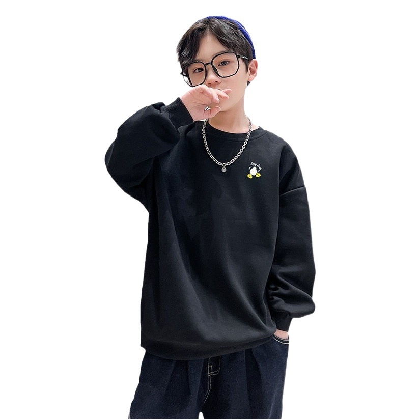 Children's Wear Boys' Spring and Autumn Sweatshirt 2024 New Style Middle and Large Children's Spring and Autumn Boy's Autumn Long Sleeve Top Handsome Trendy