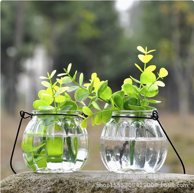 Hanging living room flower arrangement hanging bottle creative flower pot decoration transparent glass vase pumpkin simple small fresh ornaments