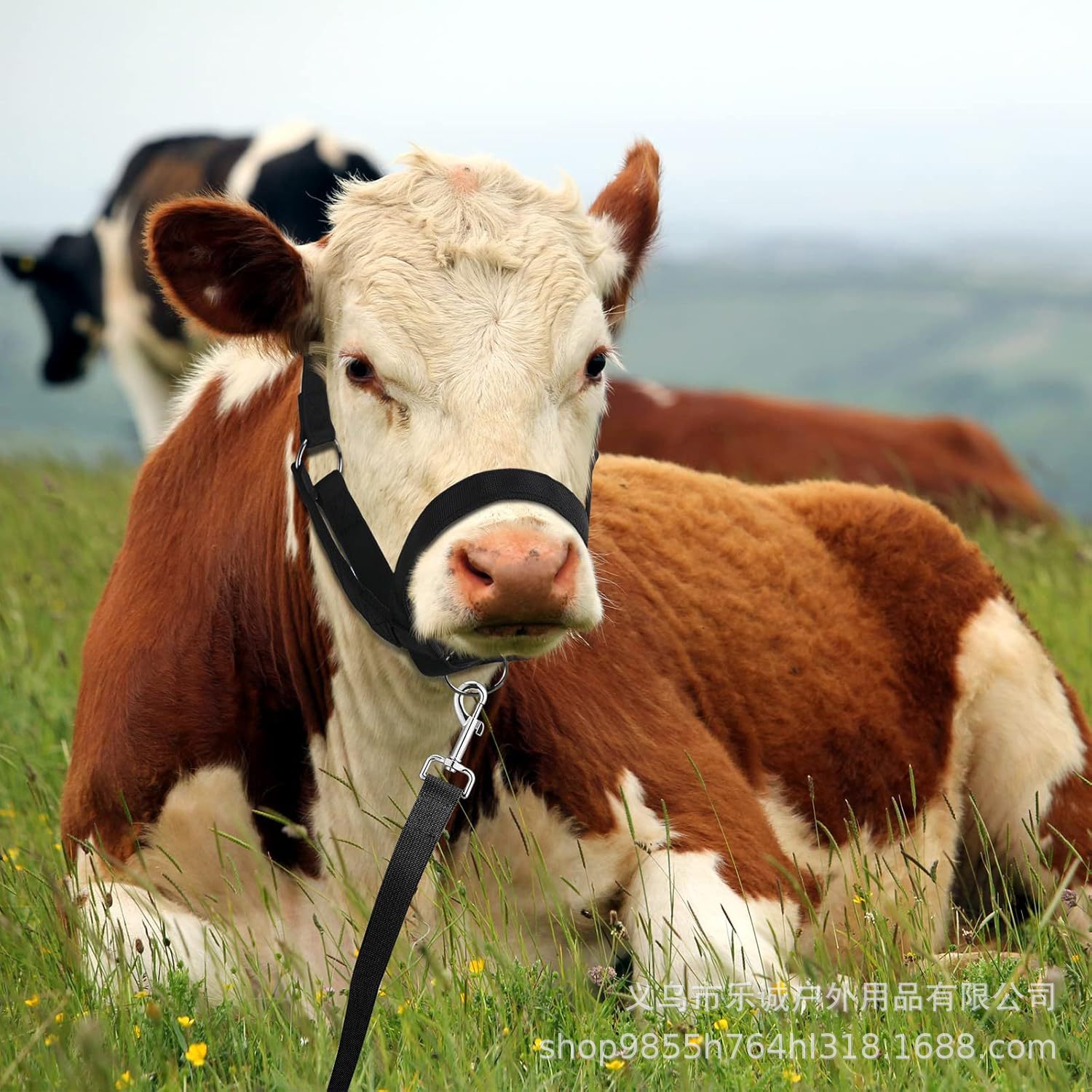 Picture of Equestrian Supplies Adjustable Cow and Horse Harness Cow and Horse Sling Traction Rope Amazon Cross-Border Dropshipping