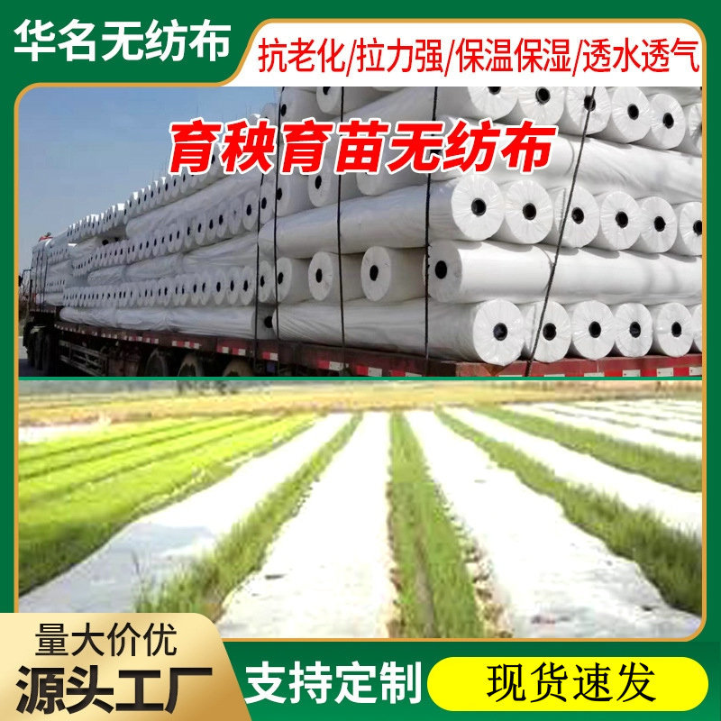 Factory Supply Rice Seedling Raising Non-woven Fabric Anti-aging pp Non-woven Fabric Moisturizing Breathable Agricultural Covering Seedling Cloth