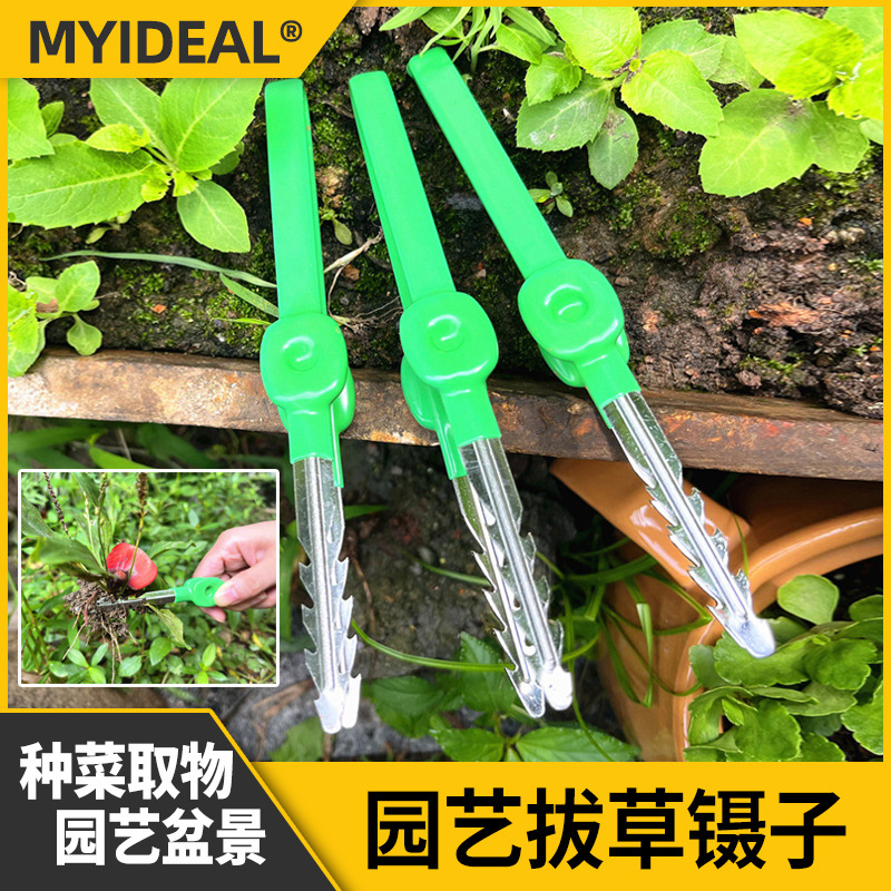 Cross-Border Hot Selling Gardening Tools Tweezers, Picking Clips, Picking Weeds, Pulling Seedlings and Planting Flowers, Household Seed Clips, Stainless Steel