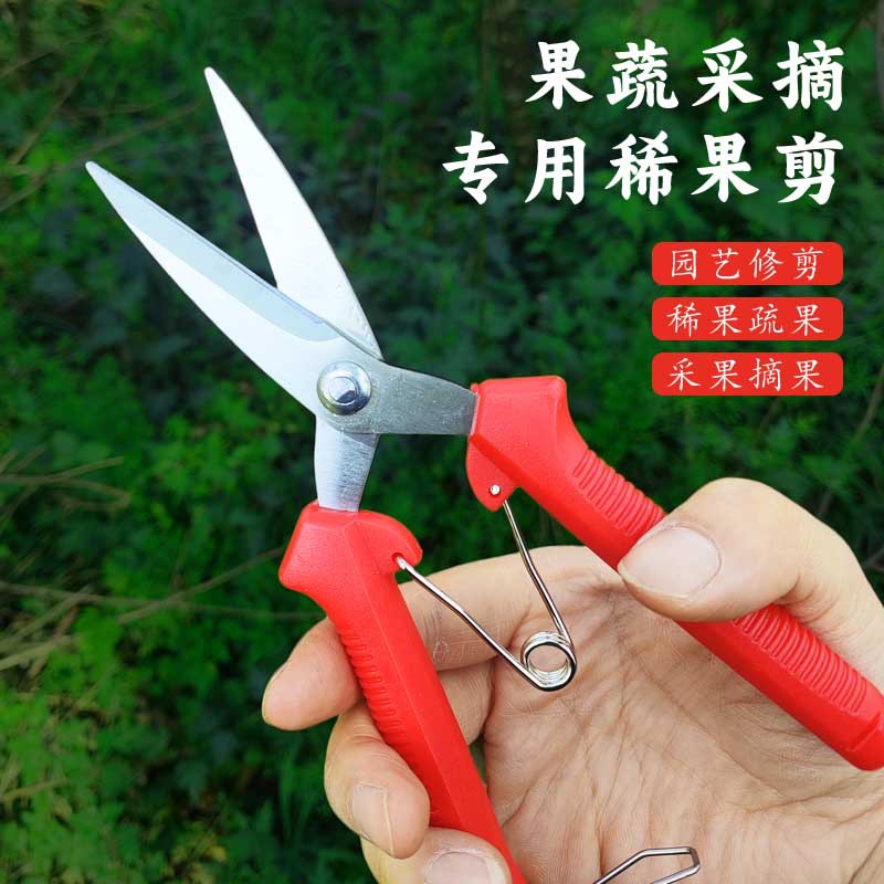 Stainless Steel Fruit Picking Scissors, Thin Branch Pruning Shears, Gardening Tools, Orchard Grafting Shears, Yang Nongfu Universal Flower Branch Shears