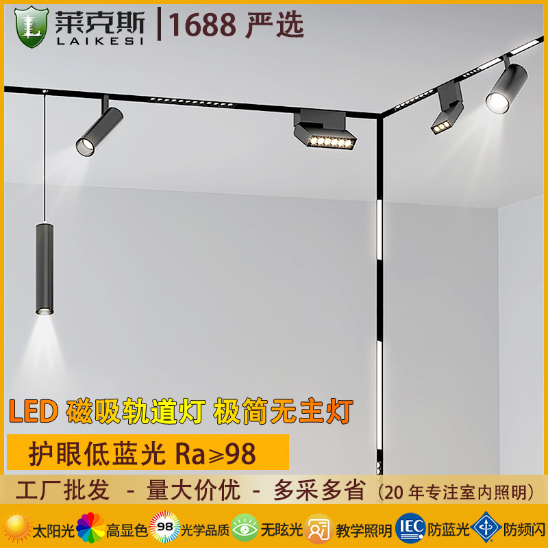 [Strictly Selected] Led Lamp Intelligent Embedded Concealed and Exposed Living Room Lighting Pre-Embedded Black 48V Magnetic Track Light