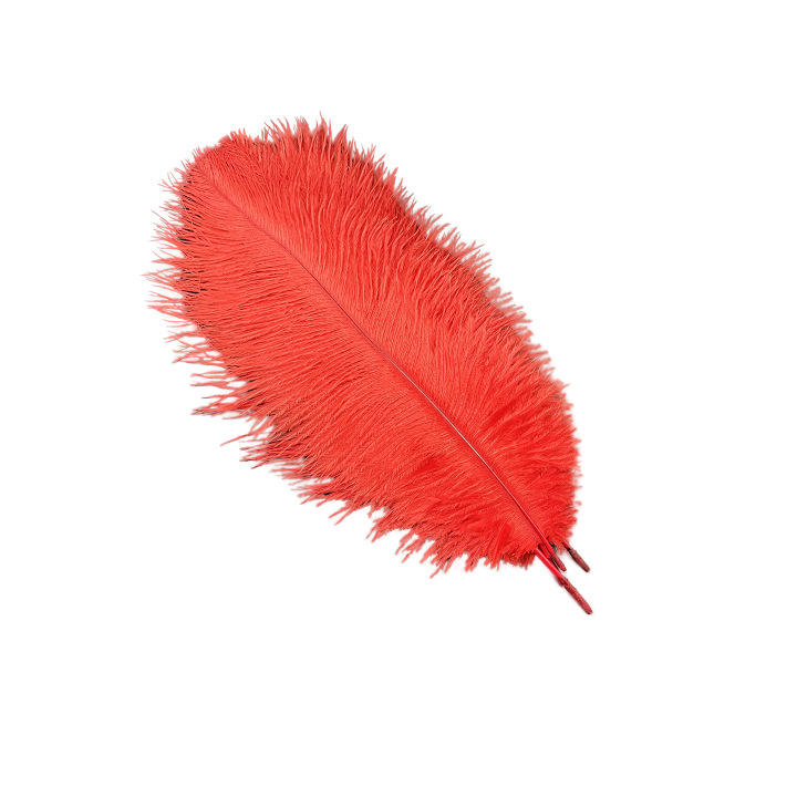 Picture of White ostrich feather 25-30cm natural ostrich feather dyed feather wedding decoration lamp ornament feather