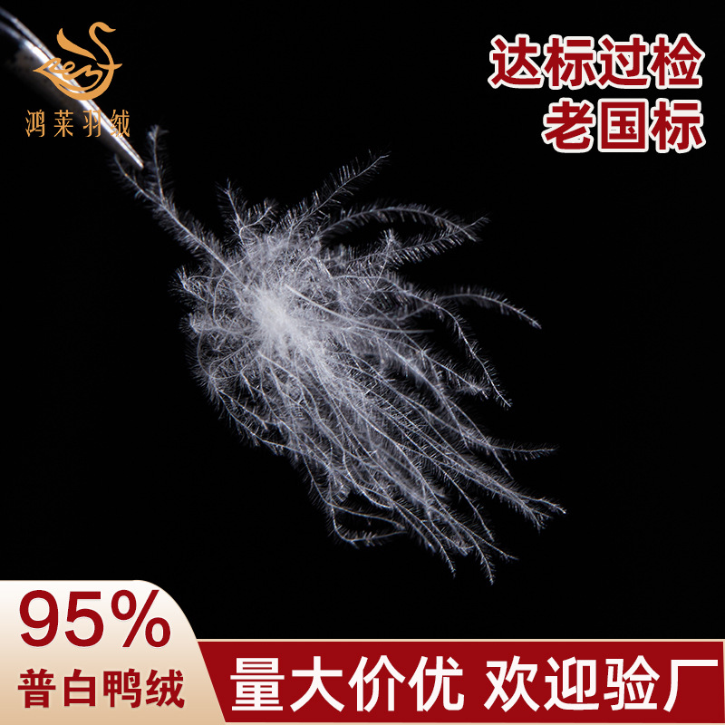 Puba 95 White Duck Down, Old National Standard Large down Feathers, Clothing Standard, Water-Washed down Feathers, Wholesale Raw Materials, Bulk Filling down