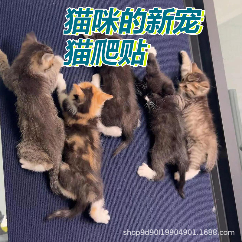 Cat Fun Artifact Bedroom Sofa Wall Protection Cat Climbing Mat Office Commercial Source Factory Cross-border Home
