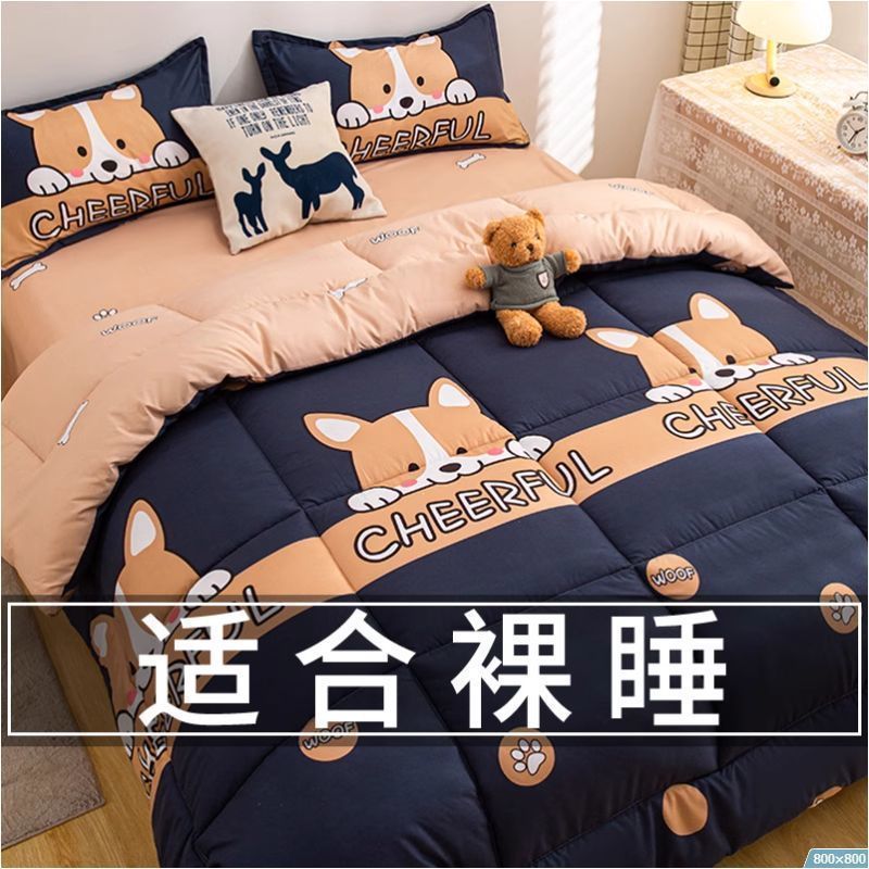 Quilt Air-conditioning Quilt Summer Quilt Pure Water Wash Cotton Quilt Core Single Student Dormitory Bedding Summer Space Quilt Summer Quilt