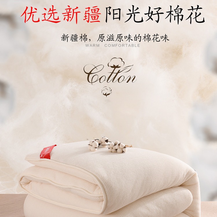 Picture of Xinjiang cotton quilt core first-class high-quality long-staple cotton pure cotton quilt winter quilt thickened warm cotton wool mattress wholesale