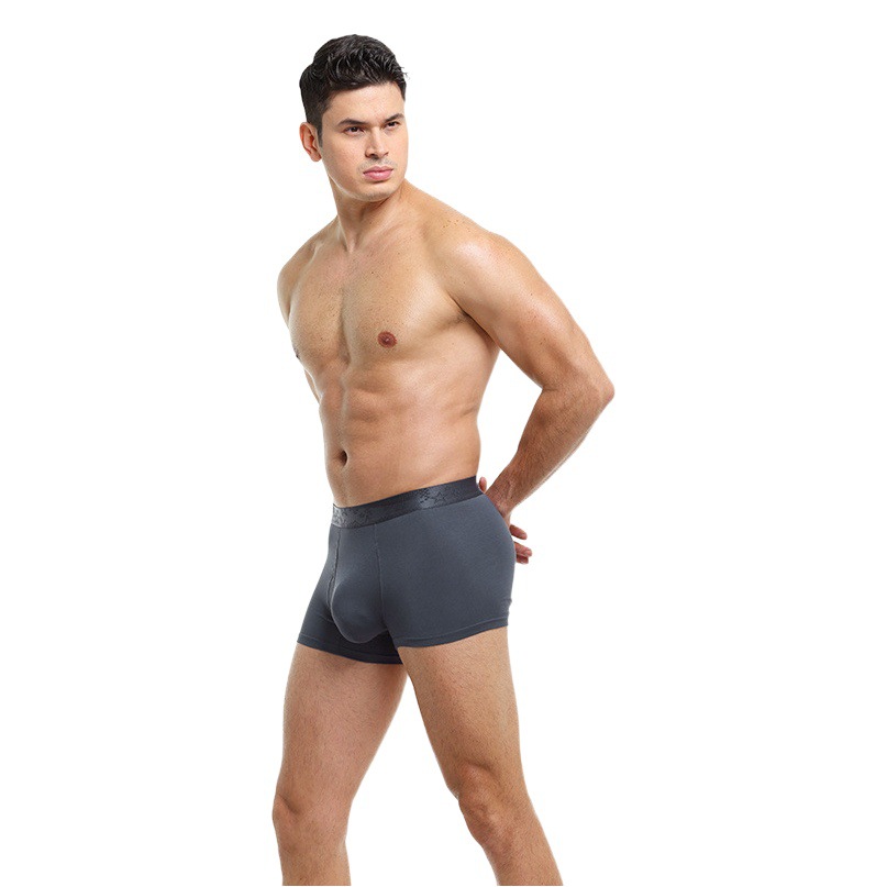Ao Element Men's Underwear Men's Boxer Shorts Boys' Shorts Comfortable Breathable Youth Boxer Shorts plus size Shorts Head