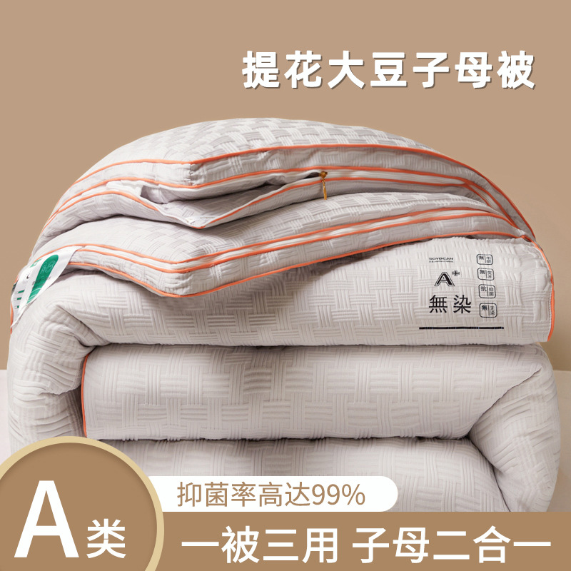 Picture of Soybean Quilt Four Seasons Quilt Soybean Fiber Quilt Core Four Seasons Universal Soybean Quilt Warm Spring and Autumn Thin Quilt Single Double Winter Quilt