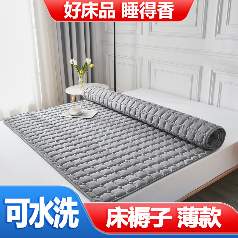 Picture of B&B Hotel Mattress Bed Protector Special Thin Washable Foldableing Single and Double Rental House Mattress Factory