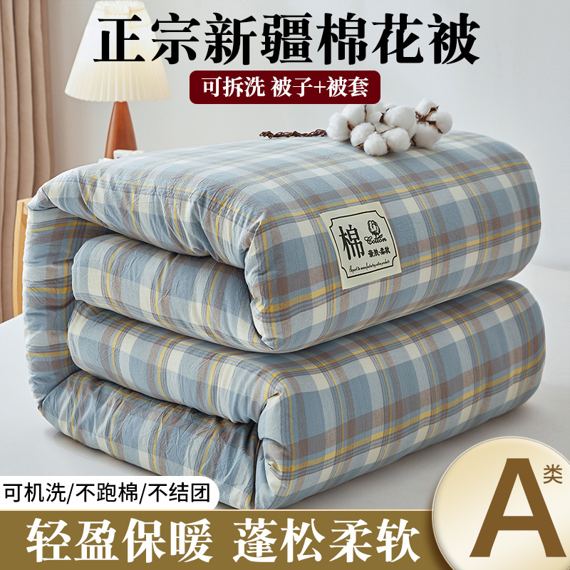 Class A non-printed style new cotton Xinjiang cotton quilt removable and washable quilt core winter quilt thickened to keep warm