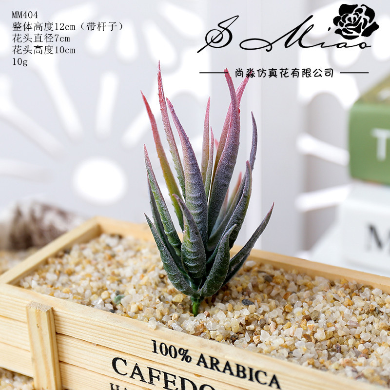 Picture of 003 Flocked Green Succulent Flower Head Creative DIY Supplies Bonsai Accessories Artificial Flower Jinhua Factory Direct Supply