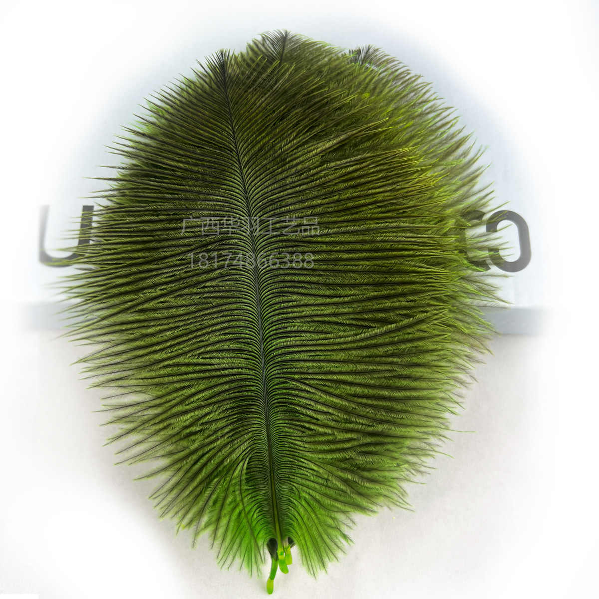 Factory batch of ostrich wool 20-25cm directly dyed green lotus cleaning Buddha dust duster wool DIY jewelry performance decoration