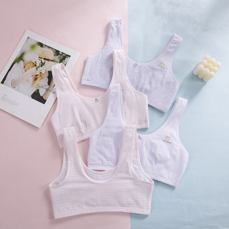 New Mesh Thin Underwear for Girls Junior High School Students Senior high school Girls Developmental Small Vest No Sponge Bra