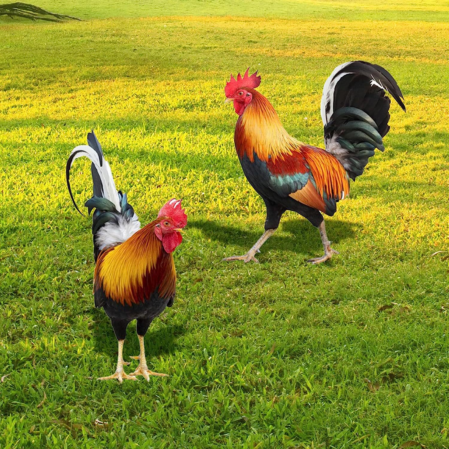 Picture of Three-Dimensional Courtyard Rooster Acrylic Mirror Yardart Garden Outdoor Decoration Ornaments Creative Courtyard Ornaments