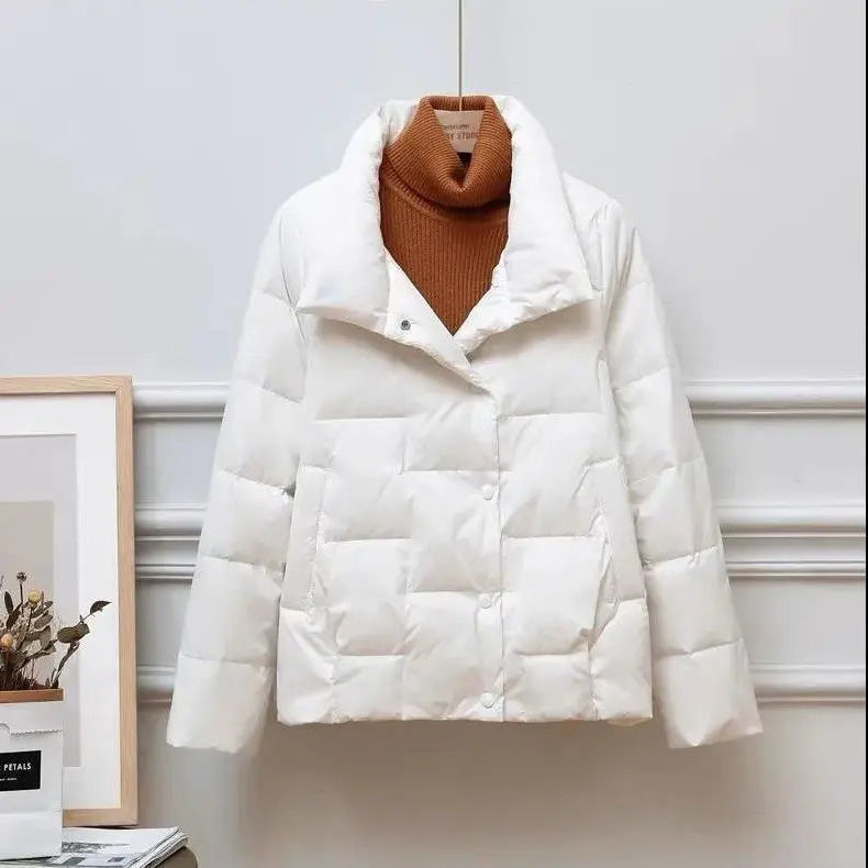 Picture of 2022 Winter New Korean Style Loose Large Size Lightweight Vertical Collar Down Cotton-padded Jacket Casual Short Cotton-padded Jacket Women's Coat