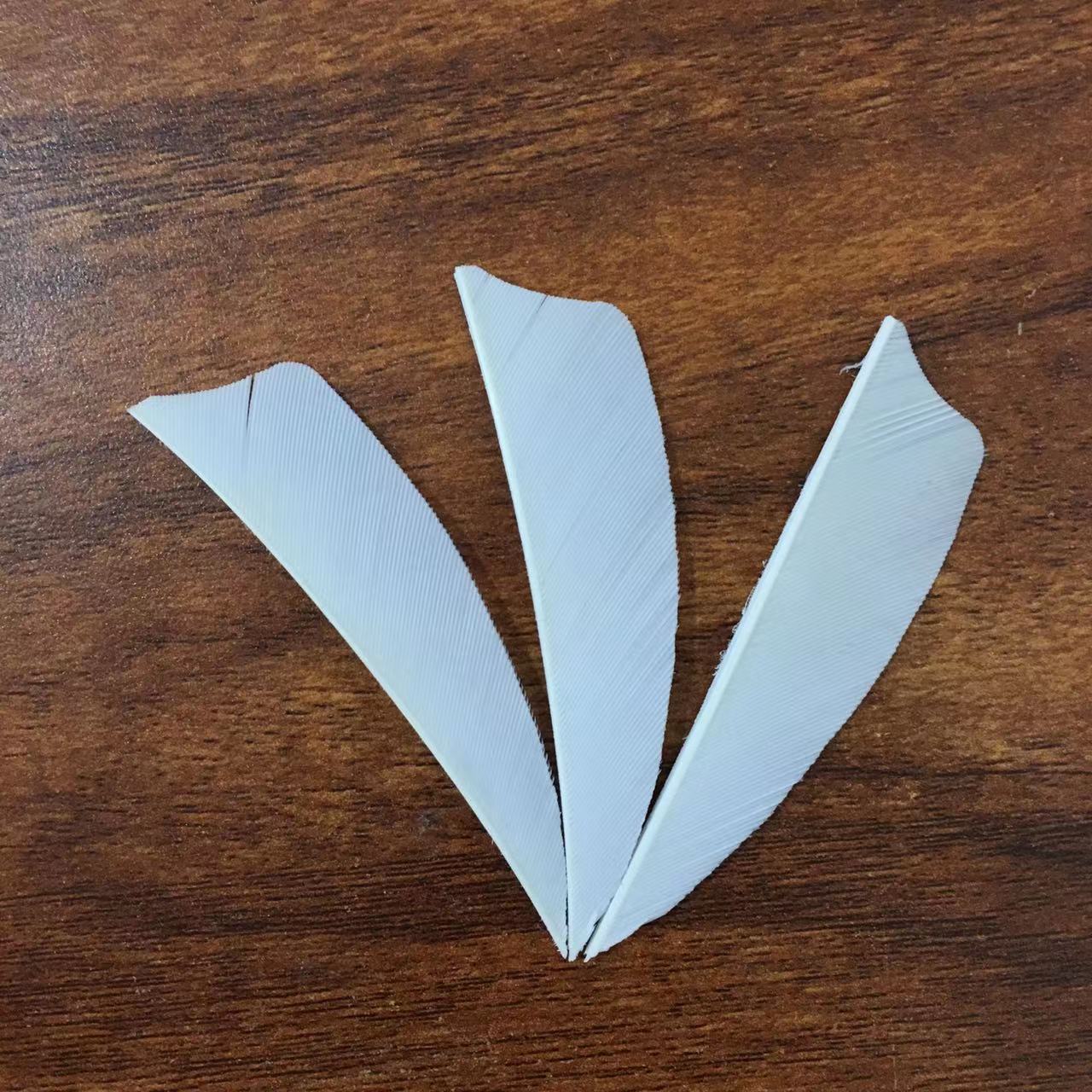 Picture of Bow and Arrow beauty hunting compound traditional arrow feather turkey feather 2.5 inch 3 inch shield Turkey real feather