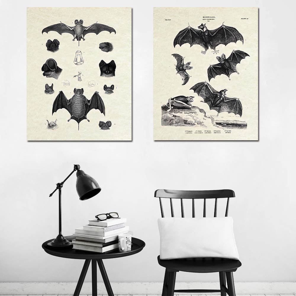 New Hot Selling Nordic Simple Retro Bat Black and White Animal Decoration Living Room Study Children's Room Decorative Painting Core