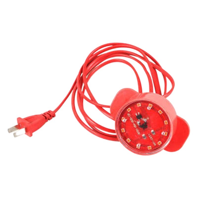 Lantern lamp 2 meter line luminous LED lamp red light outdoor waterproof energy saving lantern accessories lantern companion