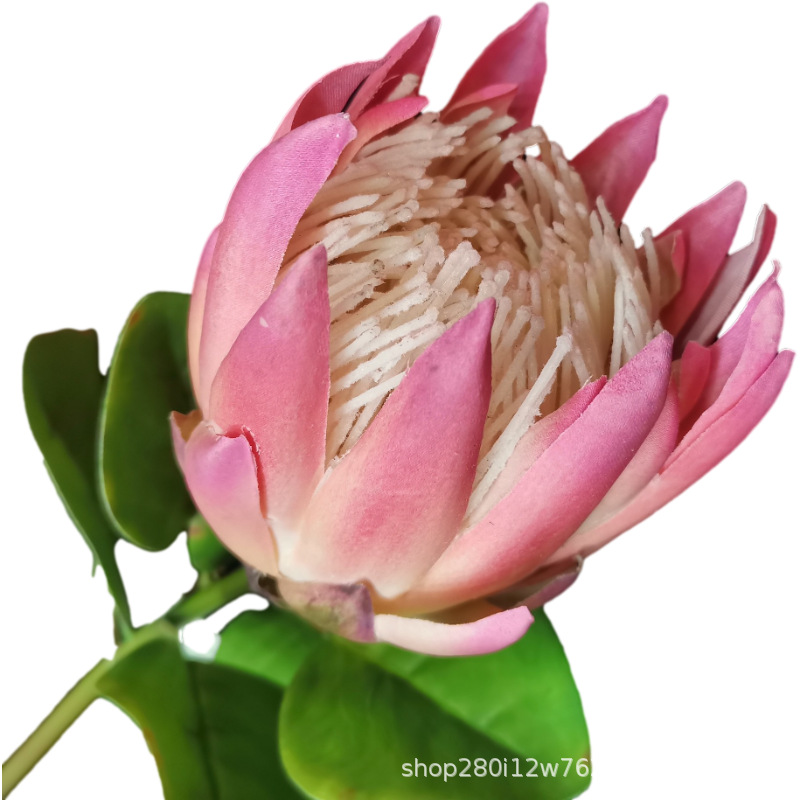 Picture of European-Style Small Spring-Colored Simulated Emperor Flower, South African Artificial Flower, Simulated Plant, High-End Imperial Flower
