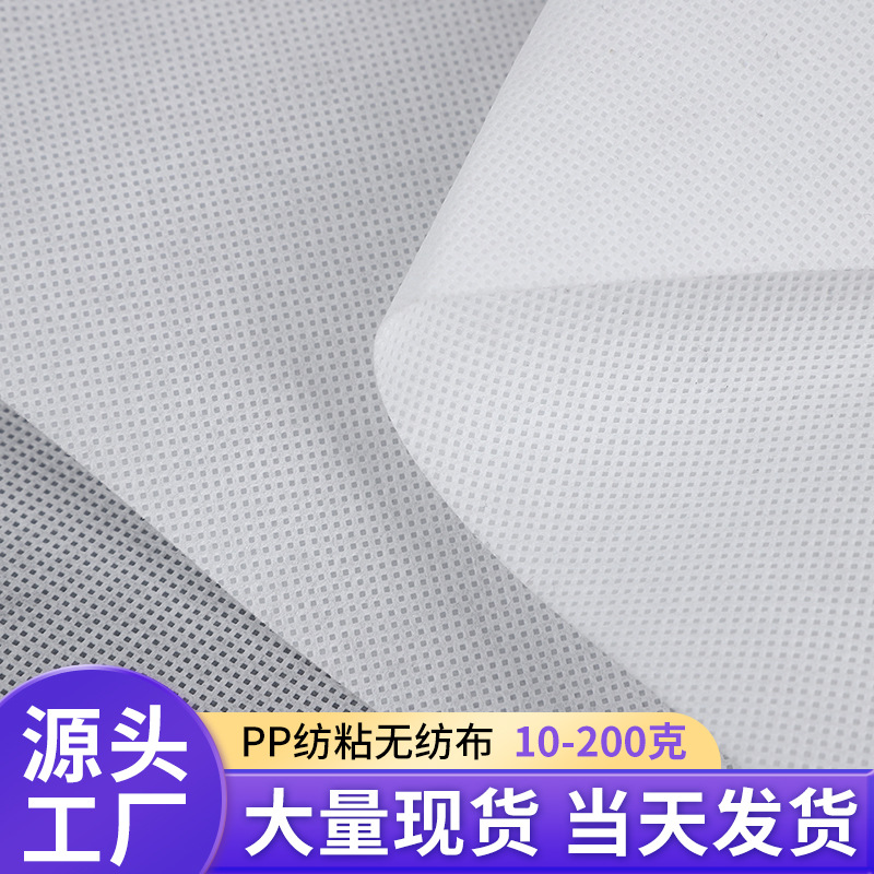 Pp Non-Woven Fabric Roll 50g Packaging Engineering Composite Agricultural New Material Pp Polypropylene Spunbond Non-Woven Fabric in Rolls