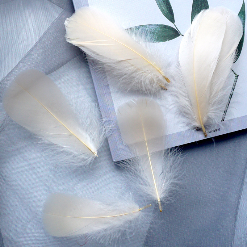 Picture of Macaron color feather decoration goose feather large and medium floating dream catcher gift box filled bouquet diy handmade material