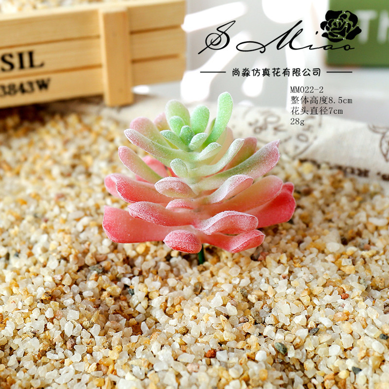 Picture of 006 Flocked Red Series Succulents Creative DIY Supplies Accessories Factory Direct Supply Wholesale Artificial Green