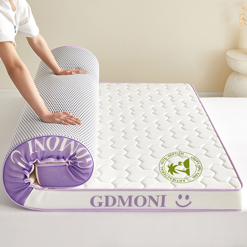 Latex Sponge Mattress Cushion Student Dormitory Single Sponge Mattress Home Bedroom Tatami Mattress Mattress