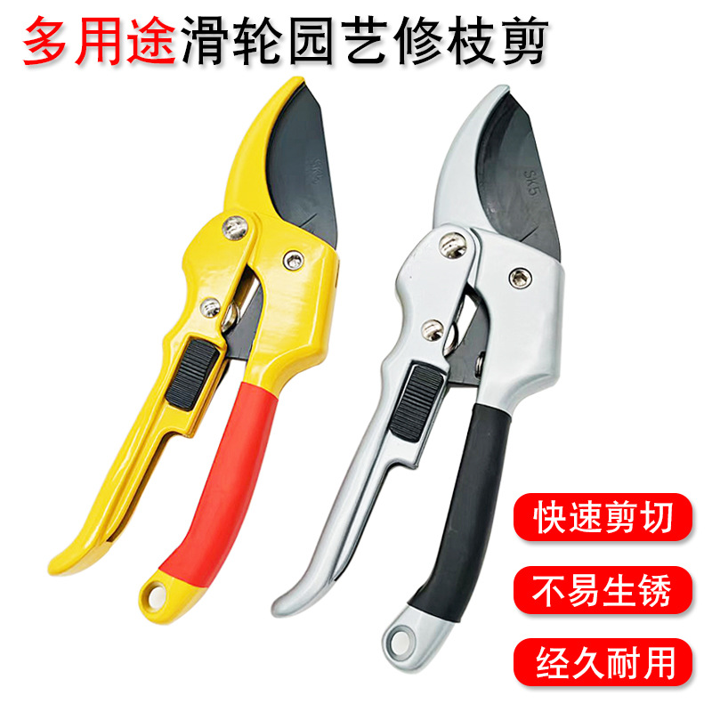 Multifunctional Pulley Shears for Pruning Branches, Labor-Saving Fruit Branch Shears, Professional Potted Plant Pruning Tools Sk-5 Pruning Shears