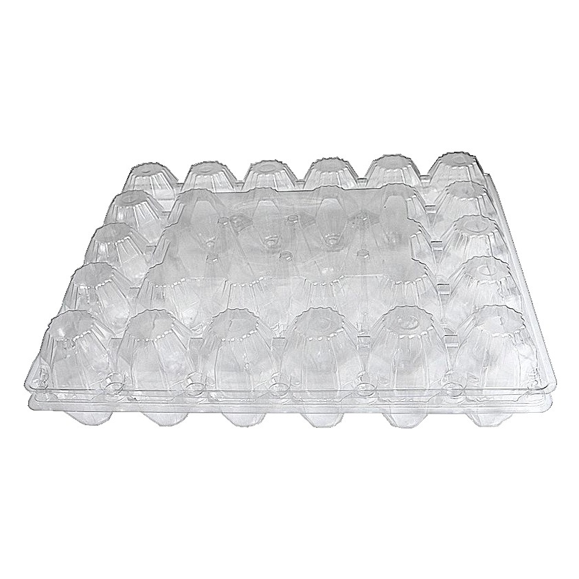 Transparent Pet Egg Packaging Box Blister Egg Tray Large Bubble Wrap Plastic Egg Carton Anti-Shattering Egg Tray Supply