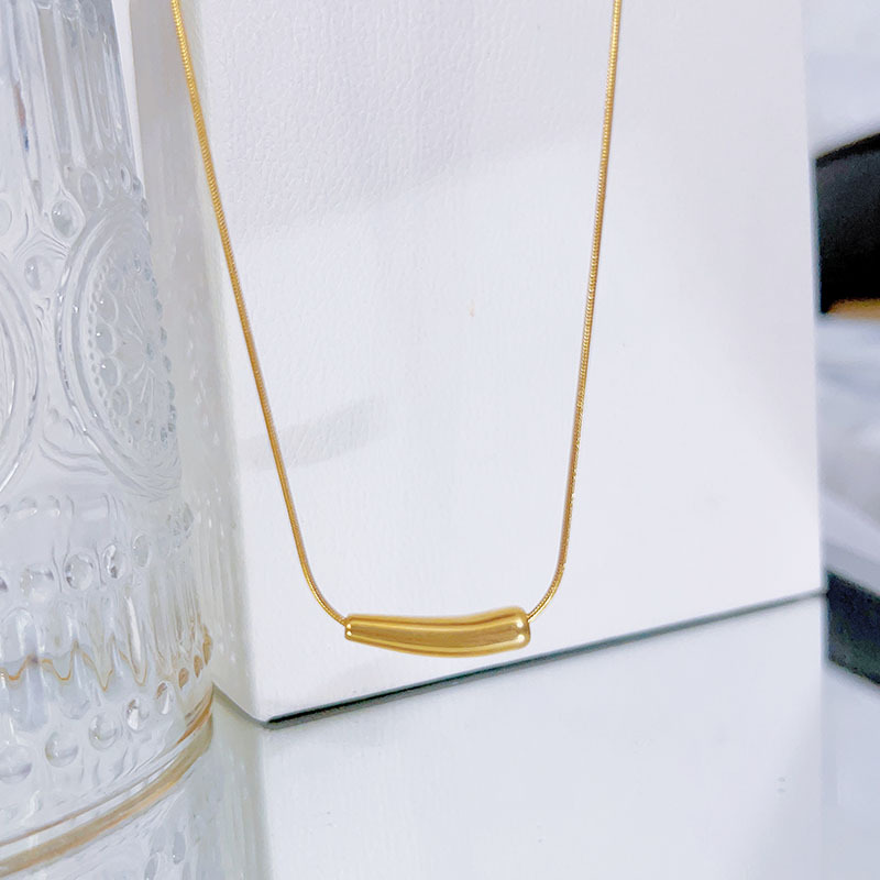 European and American Light Luxury Niche Design Titanium Steel Curved Tube Small Eggplant Necklace for Women, Fashionable and Versatile for Commuting, Non-Fading Collarbone Chain