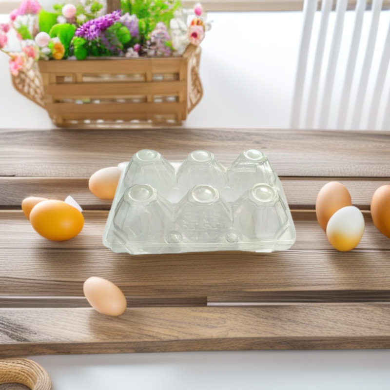 6 Transparent Eggshell Boxes, Shock-Proof Egg Packaging Boxes, Source Manufacturer