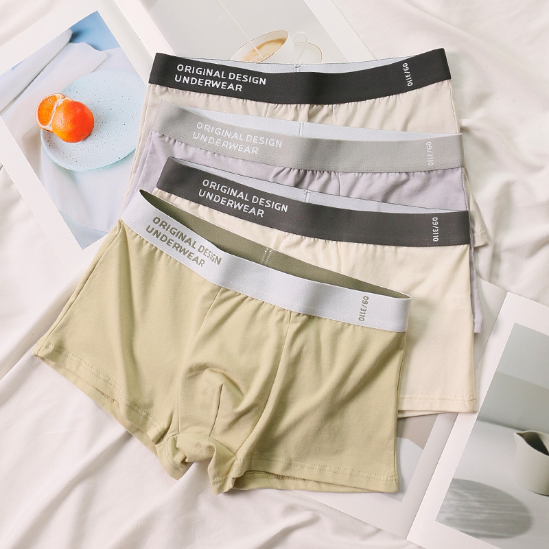 3 Pair Underwear for Boys Students and Teenagers Comfortable Underpants Men's Autumn and Winter Pure Cotton Boxers Sports