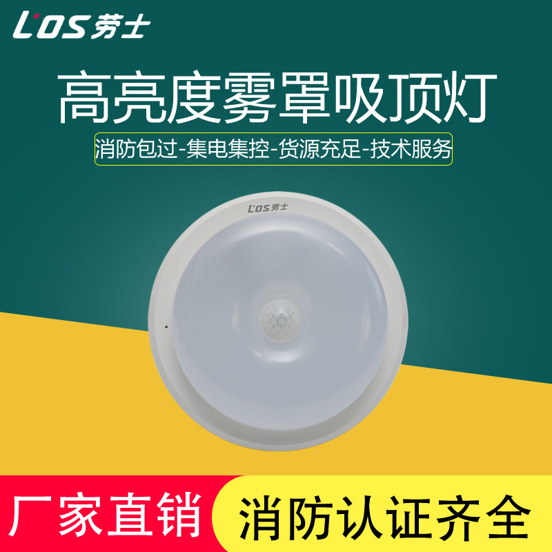 Roushi Ceiling Emergency Lighting Dc36V Sound and Light Control Corridor Round Lighting Radar Human Body Sensor Light