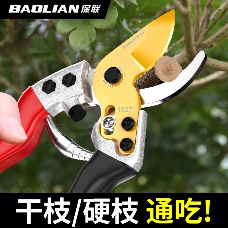 Baolian Pruning Scissors Special Pruning Shears for Garden Floriculture Fruit Tree Thick Flower Shears Gardening Branch Shears Tools