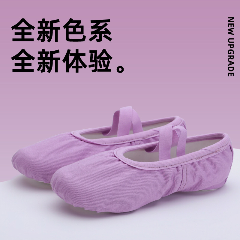 Lace-up-free Canvas Purple Dance Shoes Chinese Dance Universal Dance Shoes Non-slip Wear-resistant Breathable Soft Folk Dance Shoes