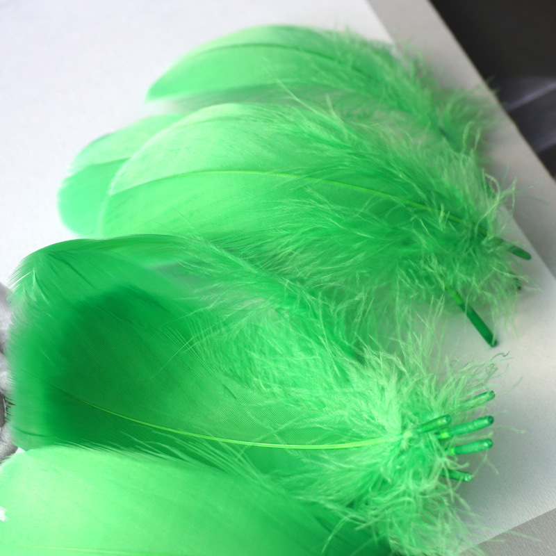 Picture of Color feather DIY floating dyeing goose feather dream catcher wave ball gift box filling decorative materials wholesale