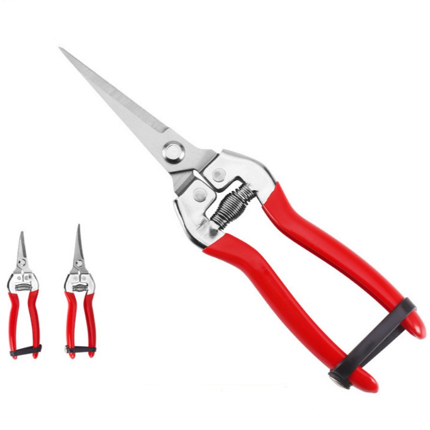 Factory Stainless Steel Fruit Tree Pruning Shears Gardening Orchard Pruning Shears Garden Branches Picking Fruit Shears Scissors Branches