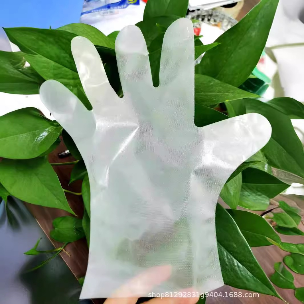 Picture of Disposable Gloves Food Grade Protective Transparent Thickeneded Tpe Gloves Disposable Tpe Gloves Film Gloves